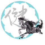 Cool Brace Herbal Liniment - Equine-16oz