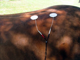 Equine Electro-Acupressure Book