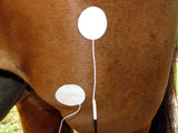 Equine Electro-Acupressure Book